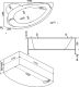 Панель фронтальная для ванны Bas Лагуна 170 левая