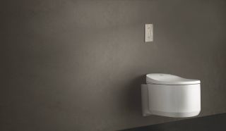 Клавиша смыва Grohe Arena Cosmopolitan 37624000 Хром