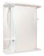 Шкаф-зеркало с подсветкой Onika Лилия 205519 правый 55см белый