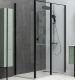 Душевая дверь Allen Brau Priority 120 3.31009.BBA профиль Черный