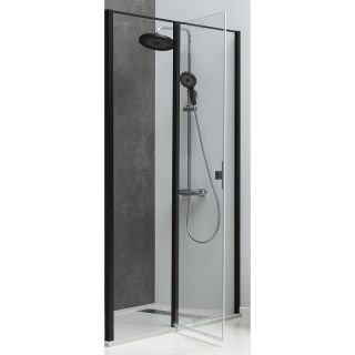 Душевая дверь Allen Brau Priority 100 3.31030.BBA профиль Черный браш