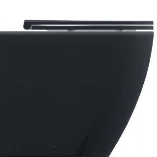 Унитаз приставной Allen Brau Reality 4.32004.AN серый антрацит