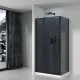 Душевой уголок Black&White Stellar Wind 8181000G 100x80 см профиль чёрный матовый стекло тонированное
