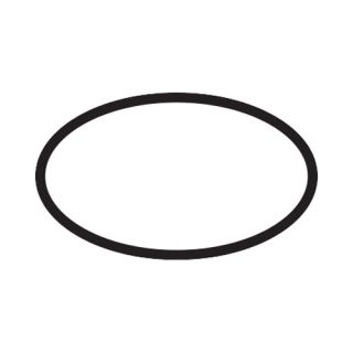 Уплотнительное кольцо Hansgrohe 98164000