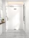 Душевая дверь распашная Veconi Premium Alassio CH, 1400х2000, хром, стекло прозрачное осветленное