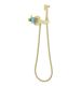 Гигиенический душ со смесителем Aquatek Оберон AQ1024BG шлифованное золото