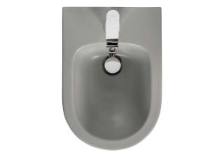 Биде подвесное Aquatek Вега AQ1057-MG серый матовый
