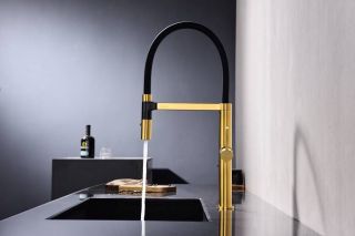 Смеситель для кухни Paulmark Leader Le214101-BG брашированное золото