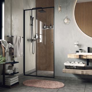 Душевая дверь Wasserkraft Dill 61S12 100x200 см