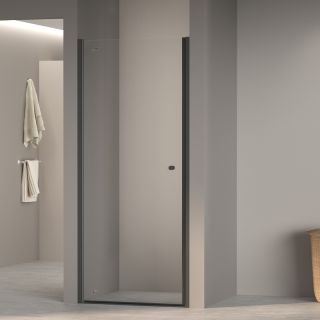 Душевая дверь RGW Dolphin TN-03B 800