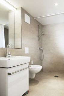 Душевая штанга GROHE Tempesta Cosmopolitan 600 мм, хром (27521000)