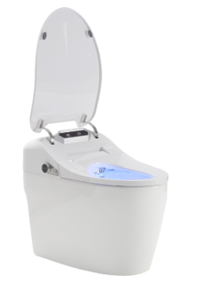 Унитаз биде Timo TE-731 подвесной Белый с Микролифтом