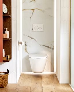 Подвесной унитаз Jacob Delafon Bastille EDAS102-00 безободковый белый