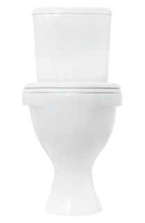 Унитаз-компакт Sanita Формат Стандарт белый