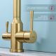 Смеситель для кухни Raglo R81.61.03 с подключением фильтра золотой сатин