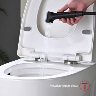 Гигиенический душ со смесителем Raglo R03.51.06 чёрный