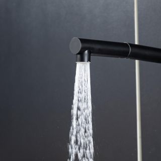 Смеситель для кухни Frap F6096-6 черный