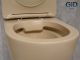 Унитаз подвесной Gid Sr2198 62210Y светло-коричневый матовый 49x36x35.5