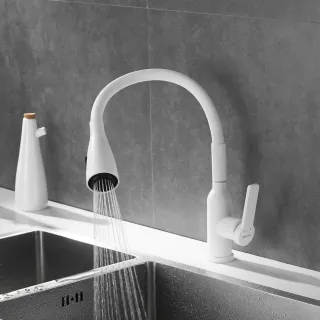 Смеситель для кухни Shevanik S843C-1 белый