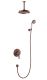 Душевой комплект Swedbe Terracotta Art 2516 бронза