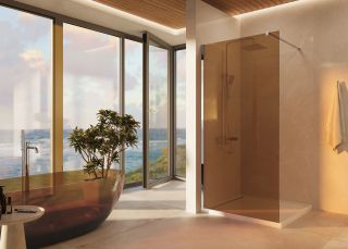 Душевая перегородка Vincea Walk-In VSW-1H100GSB, 1000*2000, черный матовый, стекло янтарь